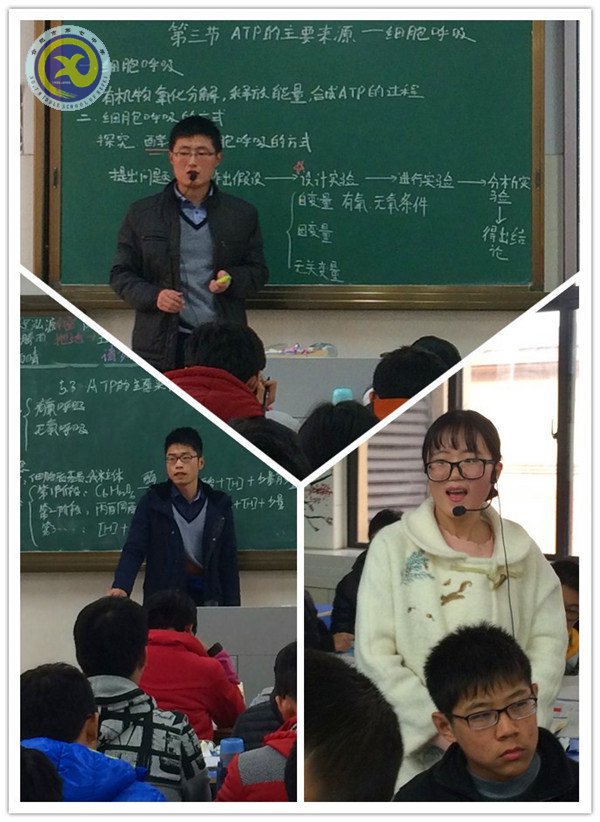 小荷才露尖尖角 早有蜻蜓立上頭(圖2)