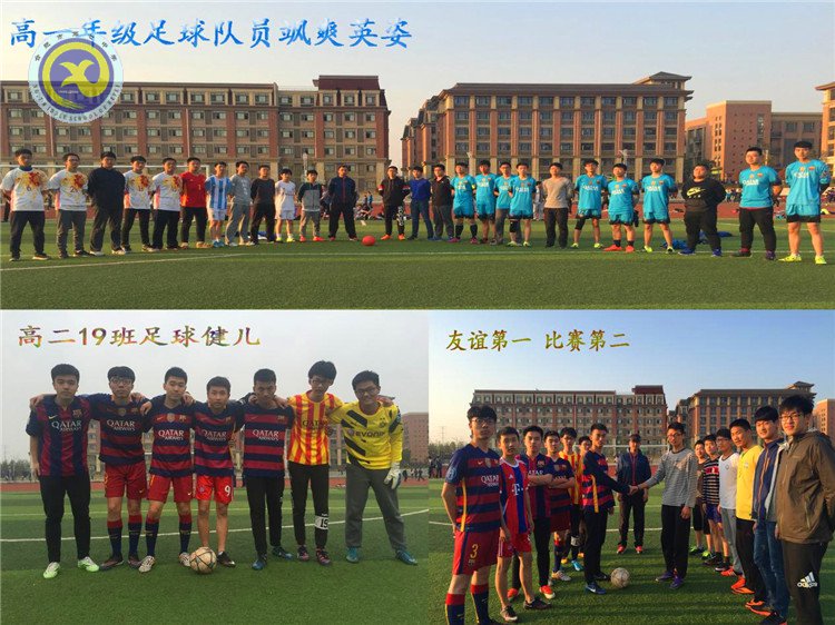 活力青春 綻放綠茵(圖1)