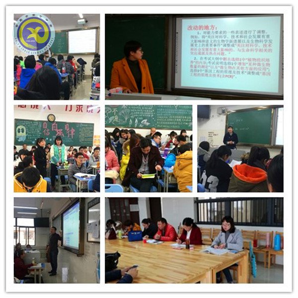 同課異構(gòu)展風(fēng)采 研讀考綱共提升(圖4)