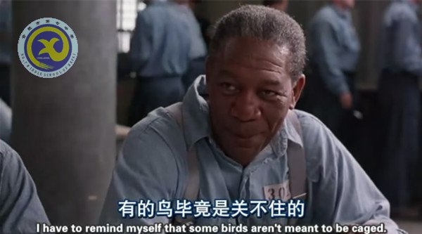 暢享視聽之趣，延伸課堂之美(圖2)