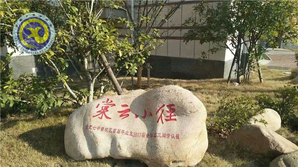 植一片海棠 留年年花香(圖6)