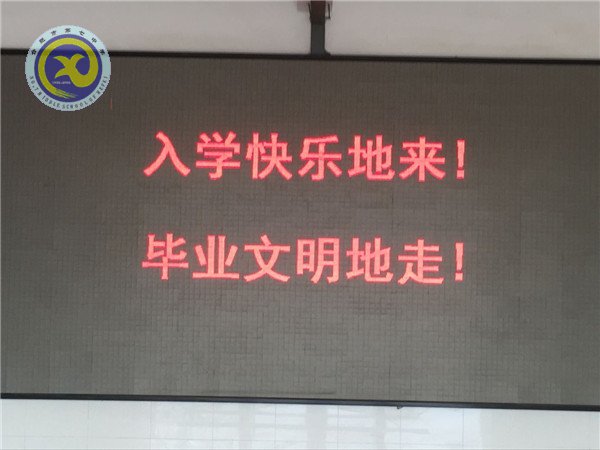 曲終人散情未盡，留得愛心滿校園(圖4)