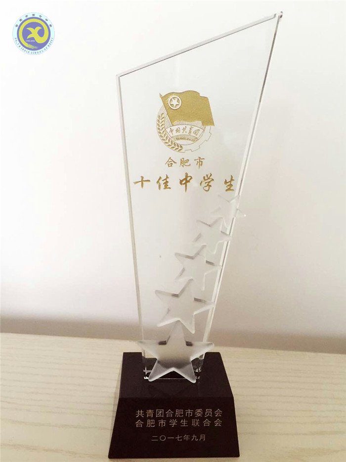 熱烈祝賀合肥七中蔡誠(chéng)昊同學(xué)榮獲“合肥市十佳中學(xué)生”稱(chēng)號(hào)(圖5)