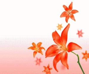 合肥市第七中學(xué)·農(nóng)興中學(xué)合作共建 簡(jiǎn)報(bào)(圖2)