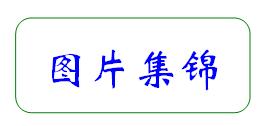 合肥市第七中學(xué)·農(nóng)興中學(xué)合作共建 簡(jiǎn)報(bào)(圖6)