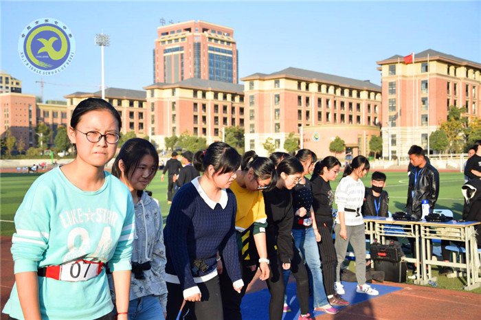 智能化體質(zhì)健康測試 精細(xì)化組織管理(圖5)