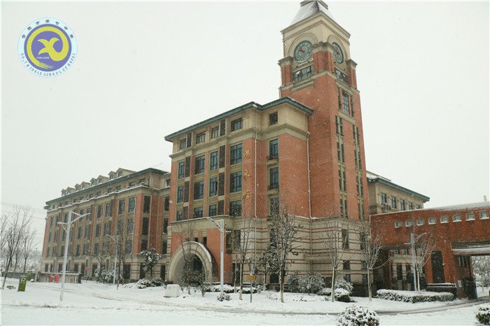 黨員干部掃雪忙 師生離校保通暢(圖1)