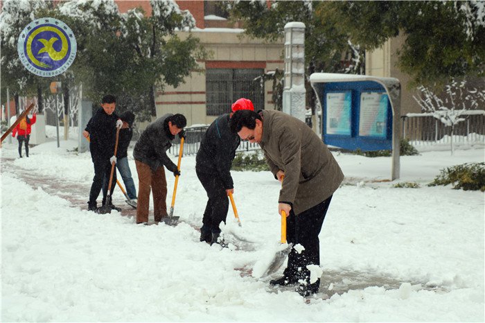 黨員干部掃雪忙 師生離校保通暢(圖3)