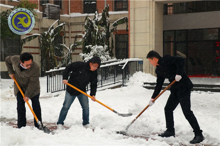 黨員干部掃雪忙 師生離校保通暢(圖5)