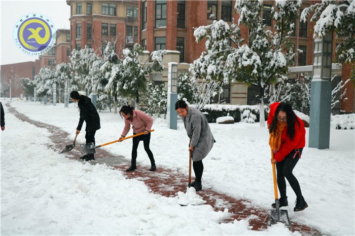 黨員干部掃雪忙 師生離校保通暢(圖6)