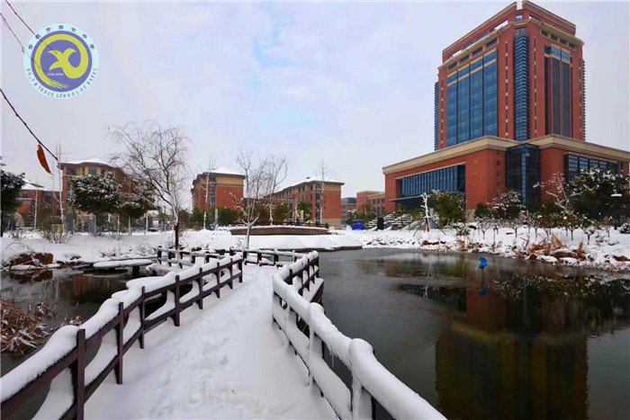 梅雪盼冬來，微笑迎春歸(圖6)