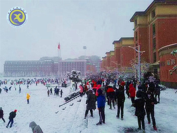 梅雪盼冬來，微笑迎春歸(圖7)