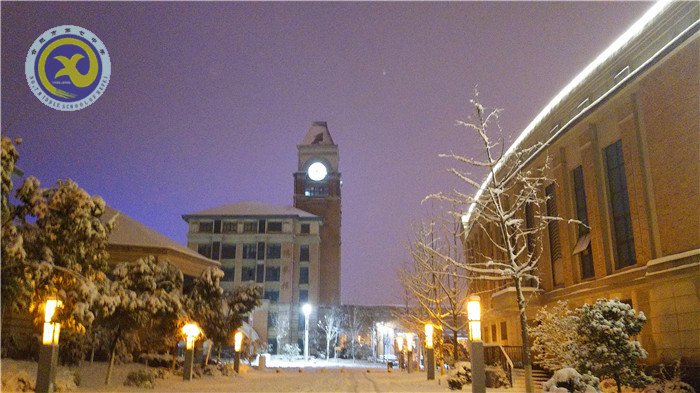 梅雪盼冬來，微笑迎春歸(圖12)