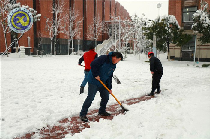 梅雪盼冬來，微笑迎春歸(圖11)