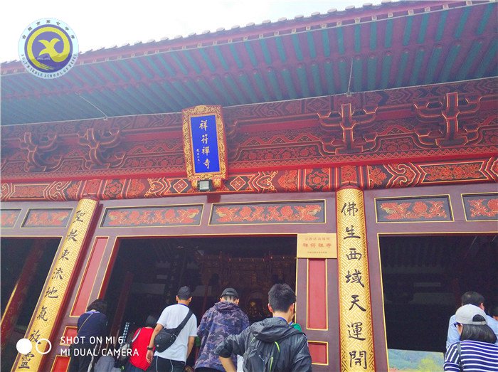 沐浴佛教文化，感受江南春景(圖5)