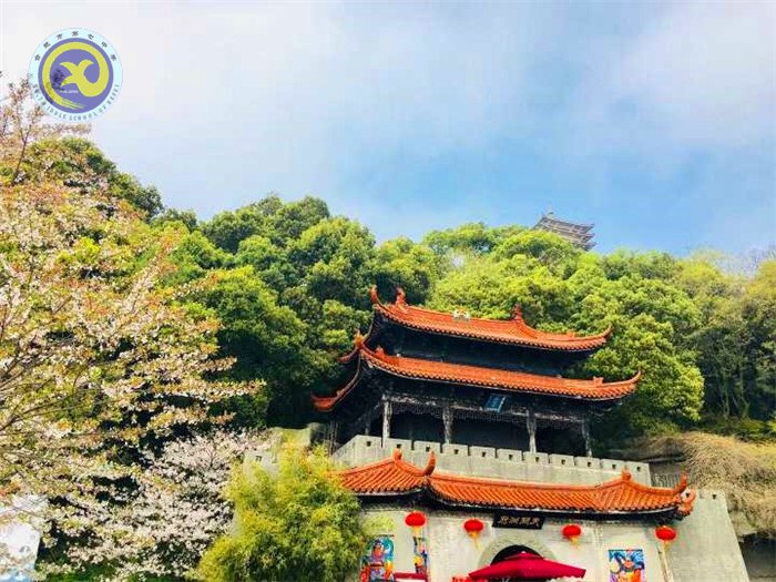格世間萬物，知自然之理(圖3)