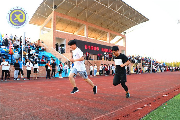人生運動精彩 青春奮斗報國(圖15)