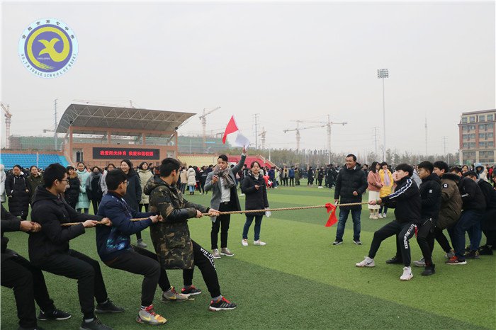 凝心聚力拔河賽，辭舊迎新戰(zhàn)高三(圖1)