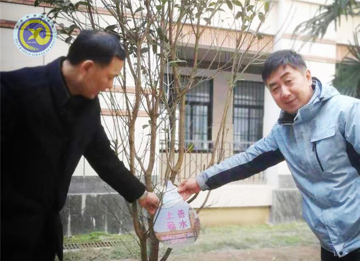 一棵兩棵三棵，棵棵皆成棟梁材(圖7)