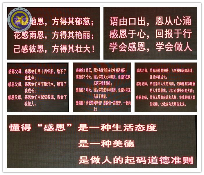 點亮學生心燈 感恩你我同行(圖1)