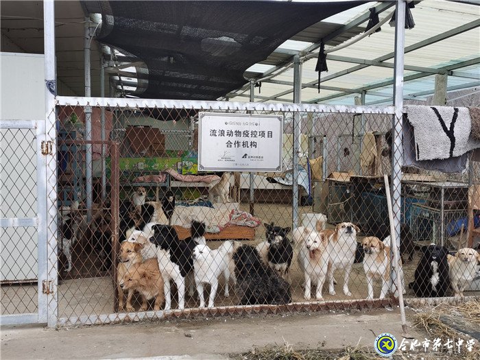 關(guān)愛生命，善待動物(圖3)