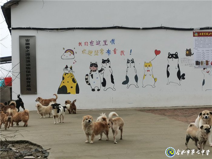 關(guān)愛生命，善待動物(圖2)