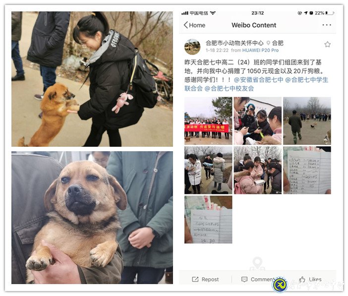關(guān)愛生命，善待動物(圖4)