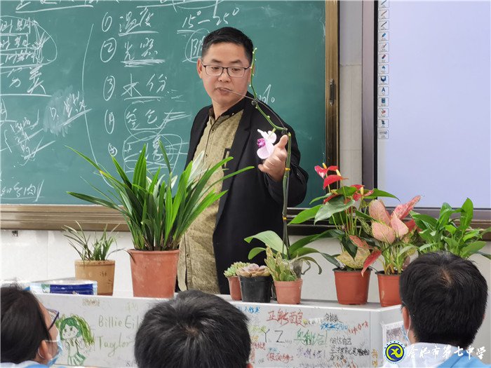 春夏秋冬,花開無(wú)聲(圖1)