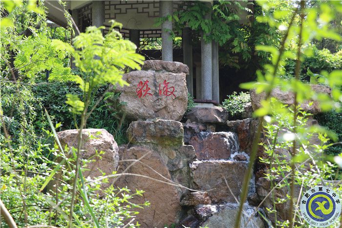 合肥七中、肥西農(nóng)興中學(xué)聯(lián)合倡議書(圖6)