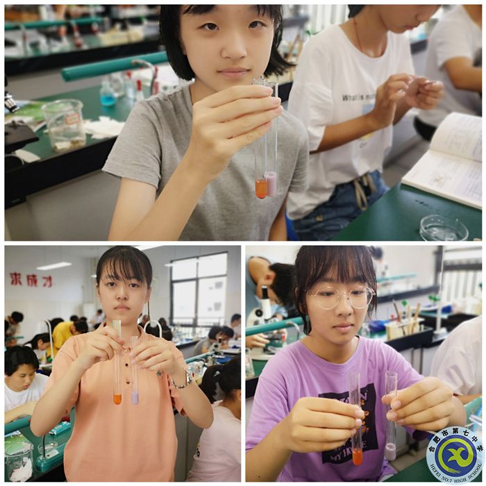 高一學生正在進行生物實驗（二）.jpg