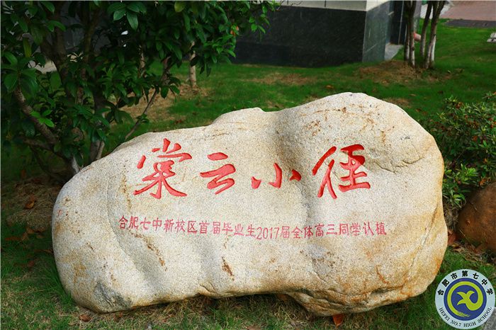 七中七心（二）——辦好人民滿意的教育，社會安心！(圖7)