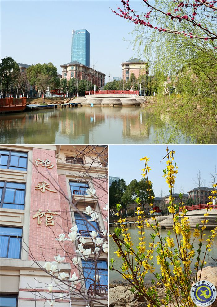 七中游，春日繽紛花滿(mǎn)頭(圖1)