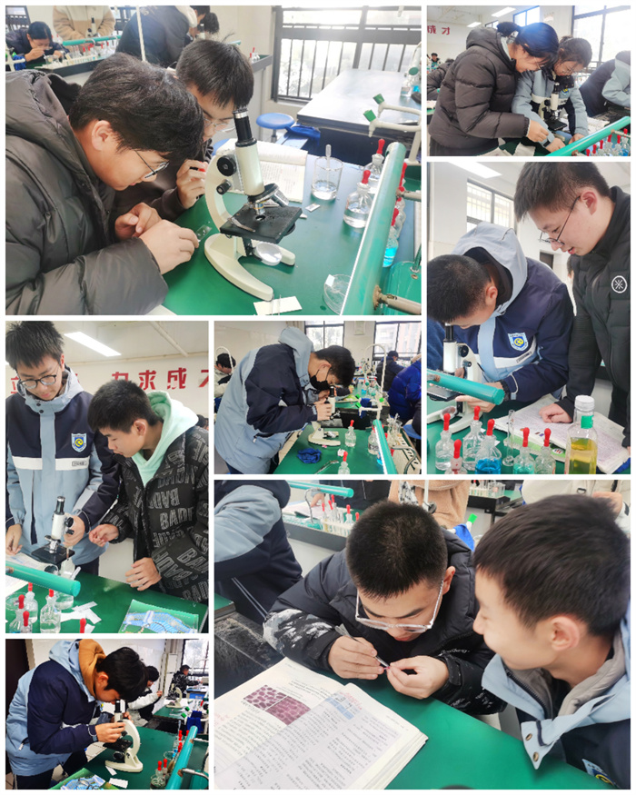 合肥七中高一年級開展生物實驗課教學(xué)(圖1)